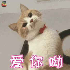 270_270gif 动态图 动图