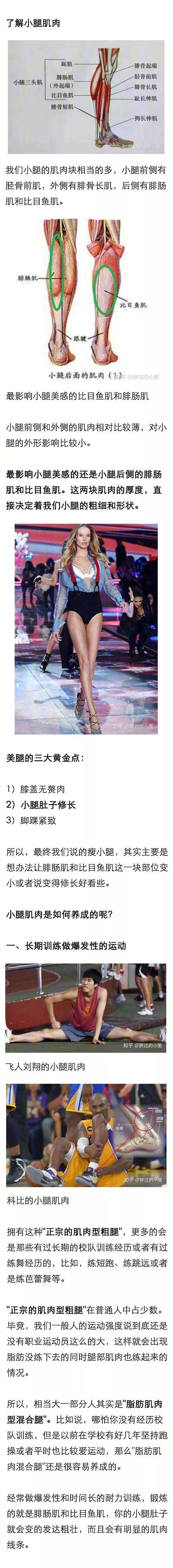 如何有效的瘦小腿肌肉? ????