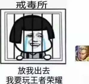 王者荣耀斗图表情包:今天你农药了吗