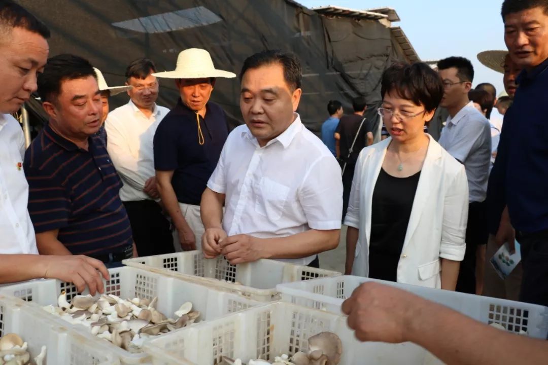 今天祯祥书记亲自率队鄱南鄱北兜兜转转为啥事这么奔忙