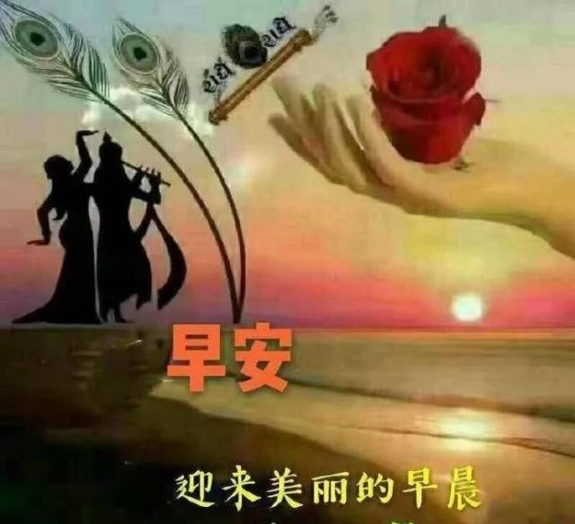 最新的唯美暖心早上好问候语录,早安祝福语短信图片表情带字