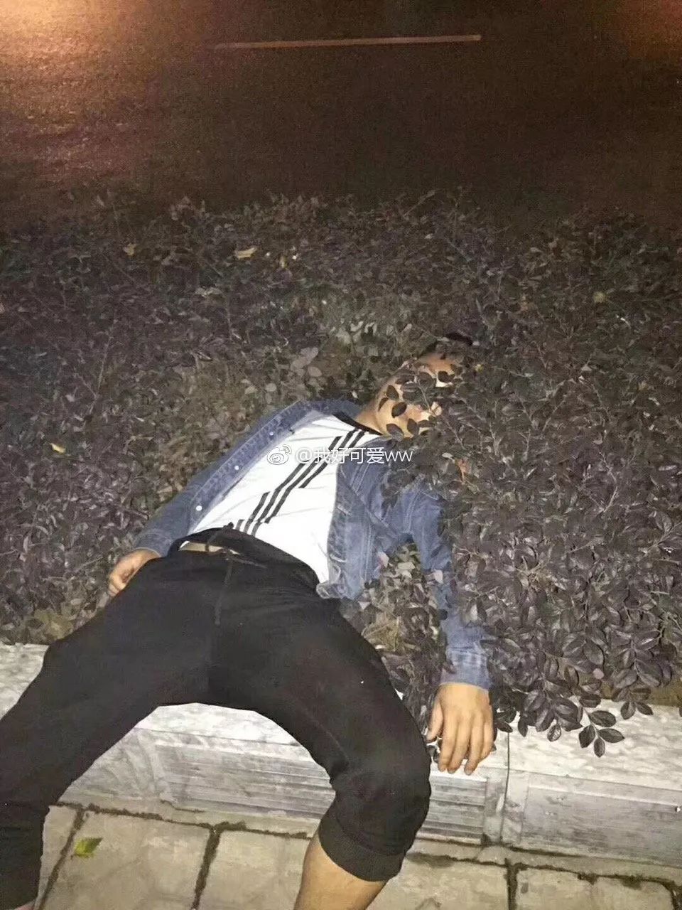你永远也不是知道光鲜亮丽的喝醉酒背后有多不堪▼看着柔韧性还不错▼没