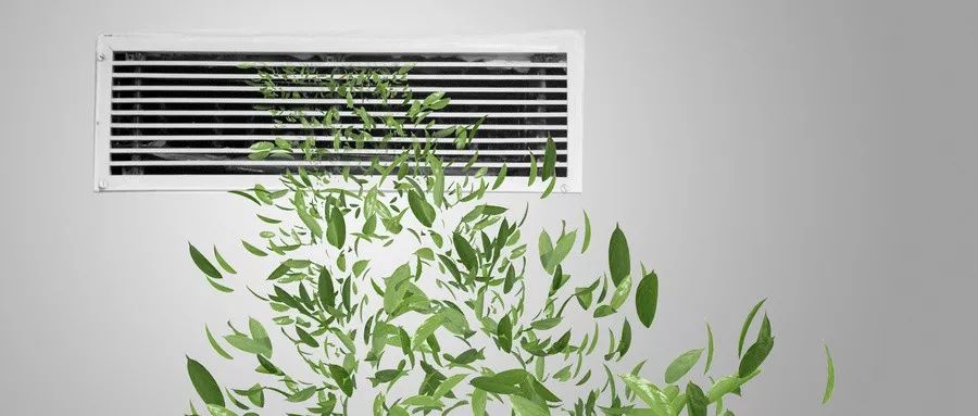 养生命其实就是养阳气