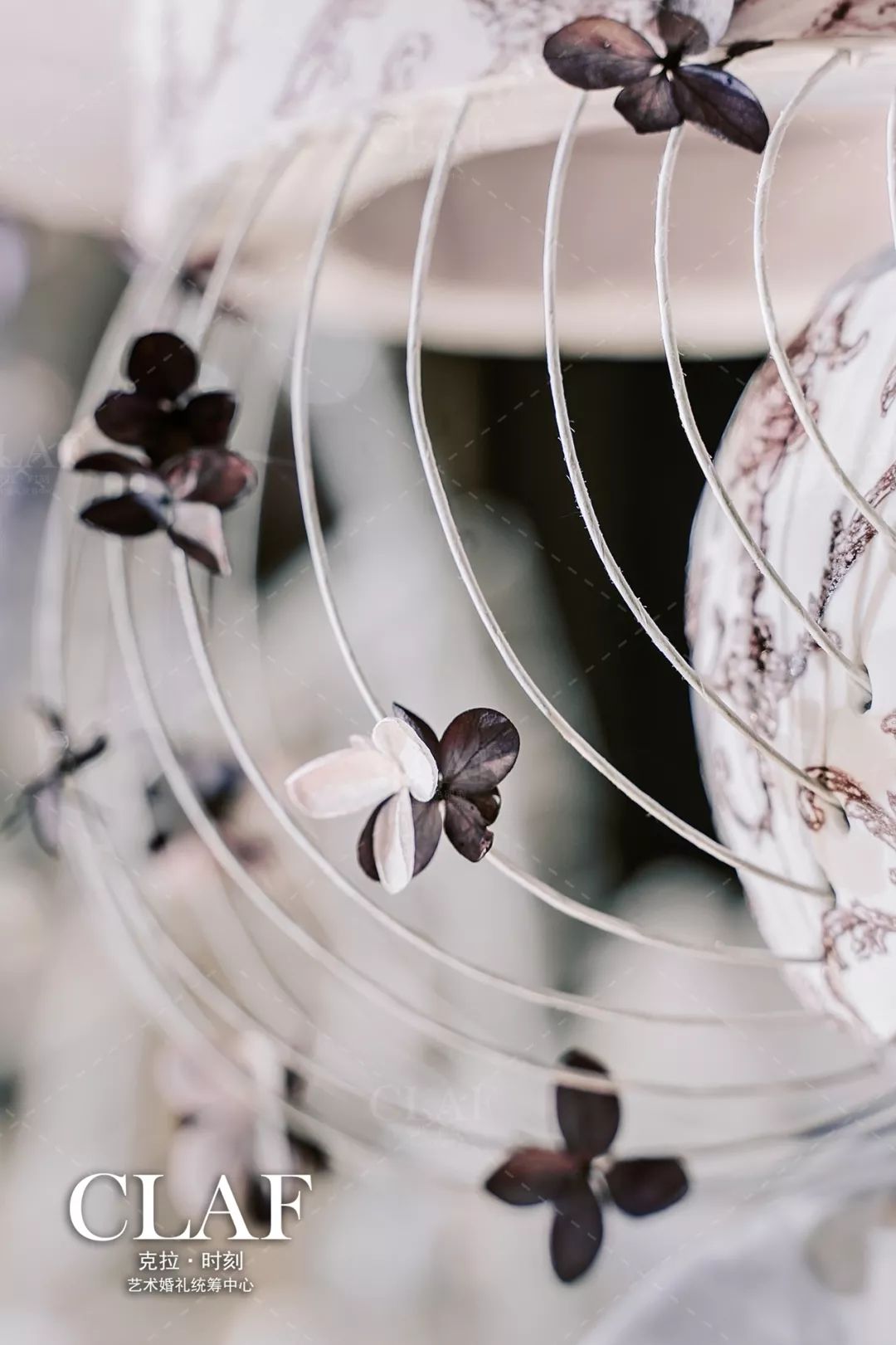 被Cue到的风信子紫色今日营业,亚洲人不敢用