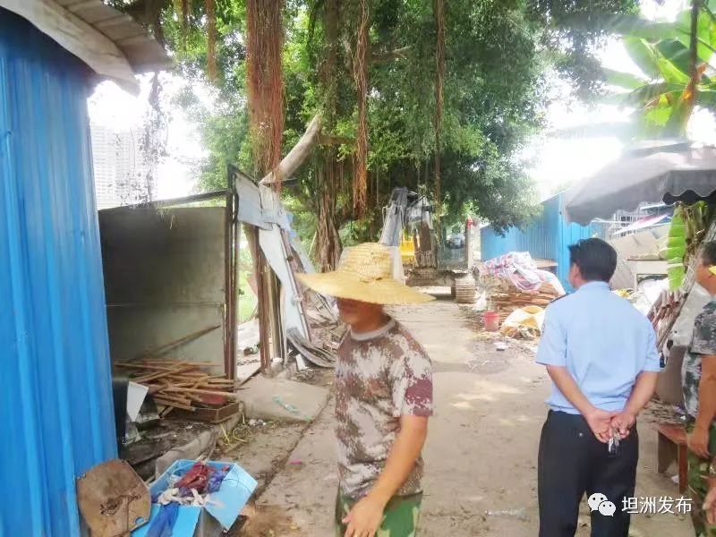 直击现场坦洲十四村社区多处违章建筑被依法拆除