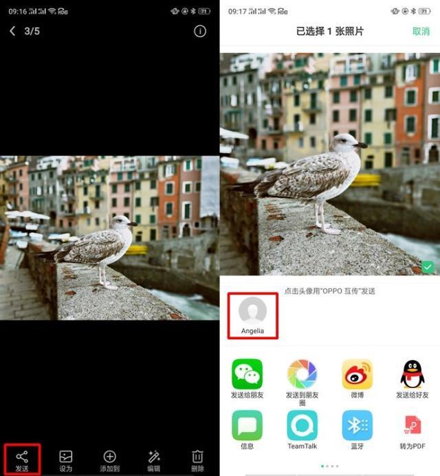 a3dc3249c4cd450aad4ba8d68ab142f2.jpeg