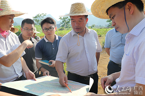 河池市副市长,都安瑶族自治县县委书记陈继勇检查督促贵广高铁都安段