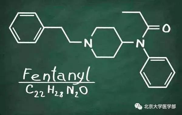 北大专家谈芬太尼药效和毒性是海洛因的5000倍