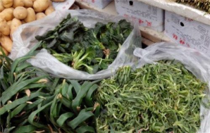 婆婆丁野菜泡水功效 c31b8708eb44470dae3941aa3e46dc9a.png