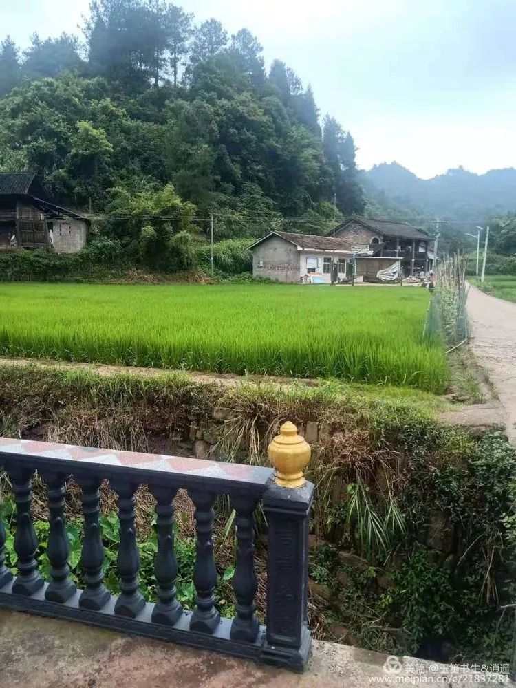 请到沅陵大合坪深处符家山村来