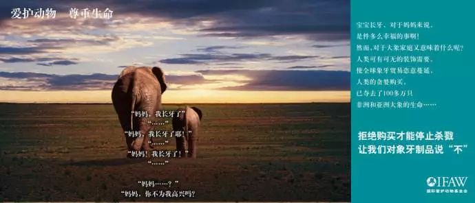 ca6a7f035c1a428baab290073256c6c9.jpeg