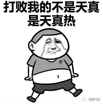 ca780b55ed4b4dae86e3bda1575a6f21.jpeg