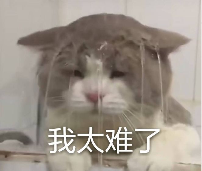 蜀黍真是太难了
