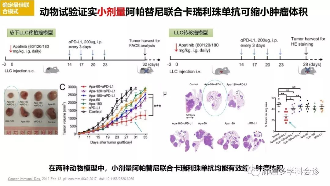 恒瑞公司所生产的pd-1抗体—卡瑞利珠单抗