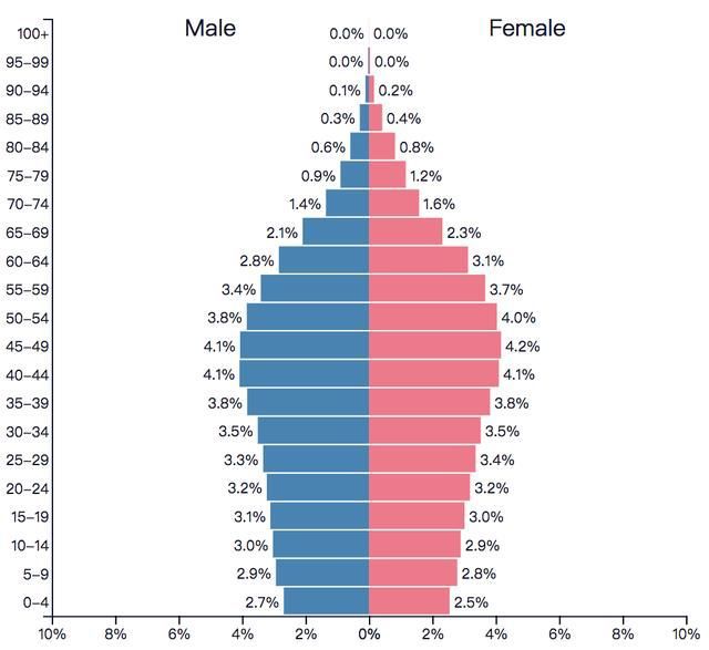 (泰国人口结构图-2018年,见上图——出生率不高,而且是很明显的老龄化