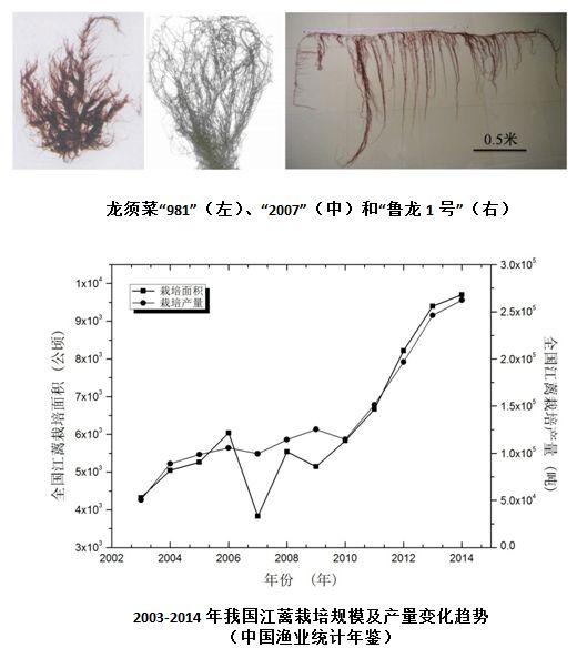20世纪六十年代的美国经济总量和中国比(3)