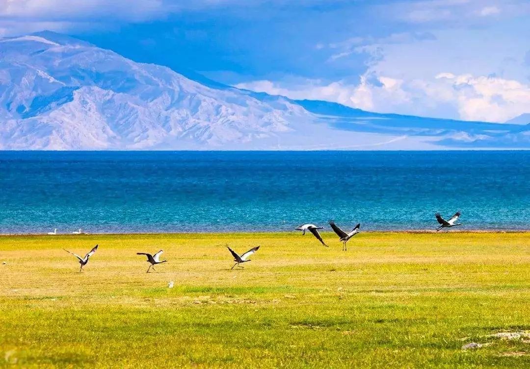 赛里木湖在哪里 0285ef460188437ba36dd2d6d36f2fee.jpeg