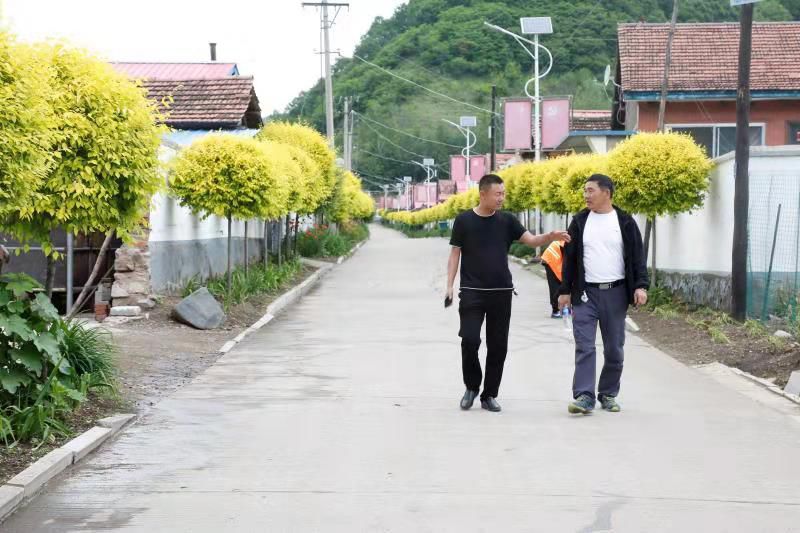 乡村振兴抚松镇擘画农业强农村美农民富新画卷