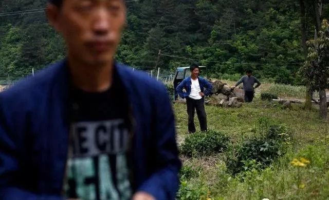 文章配图