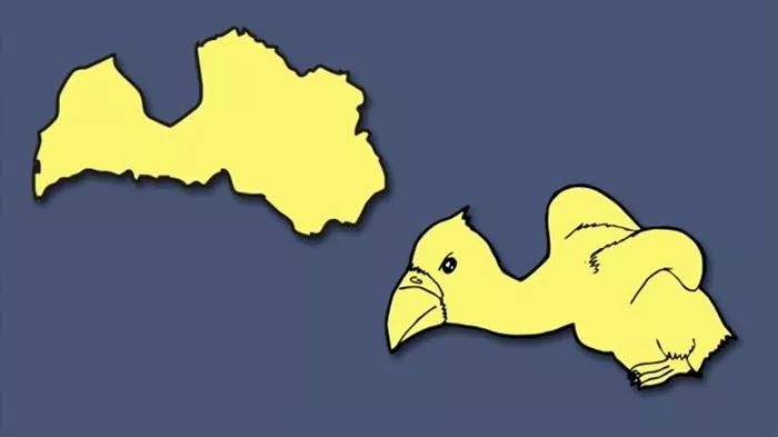 文章配图