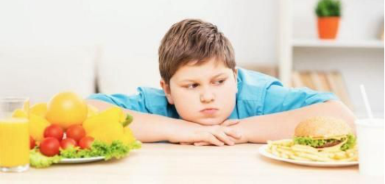 肥胖症儿童的饮食调节可以通过哪几个方面?