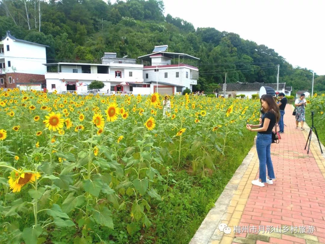 来源:梅州月形山乡村旅游