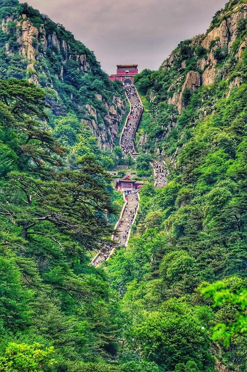 中国有多少人口和面积_中国有多少人口(2)