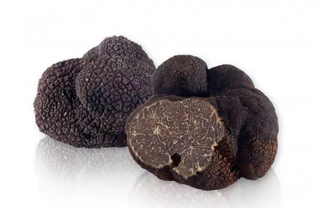 什么是黑松露汁 2981e911753b455cb5ea291054c6da4f.jpeg