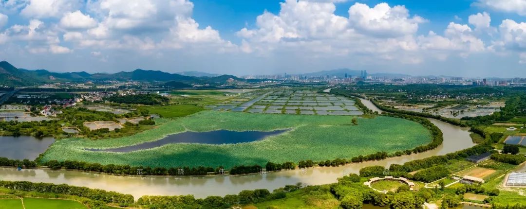 绿意2019年8月,摄于钱山漾摄影:范晓伟返回搜狐,查看更多