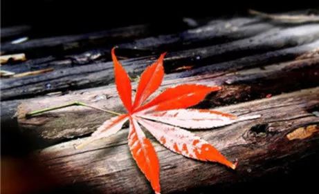 人性最大的恶,是不懂感恩!