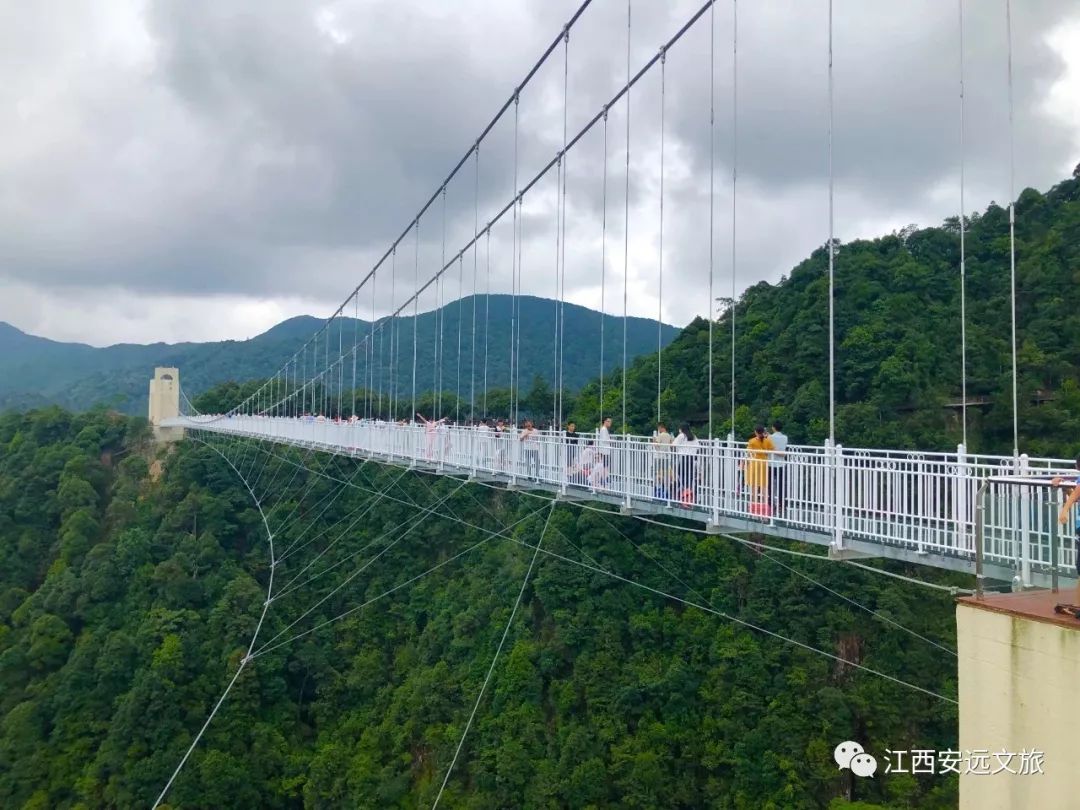 资讯丨三百山开园现场精彩抢先看 江西赣州安远马拉松报名进行中_景区