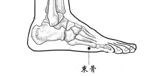 束骨穴是位于手部的后溪穴在人体足部的对应位置.