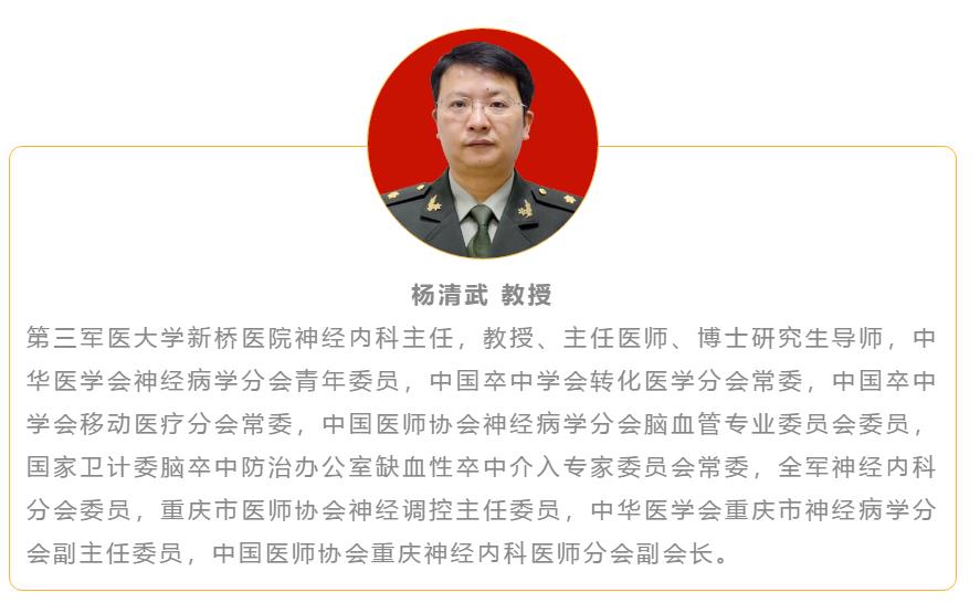 杨清武教授脑卒中脑保护研究的现状及思考