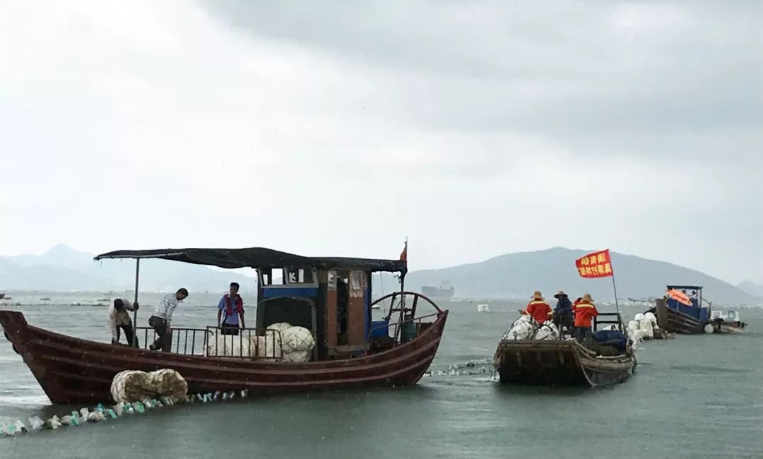 三沙有多少人口_太震撼 这组照片告诉你三沙到底有多美(3)