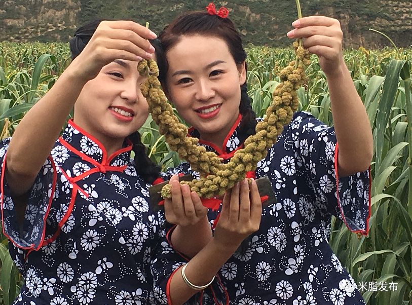 8月21日19:19,请锁定CCTV-17农业频道