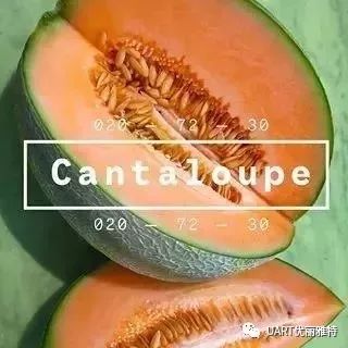 䲼:baba1143 cantaloupe ۹ϳ ۹ϳ,ڷɫĻ͸