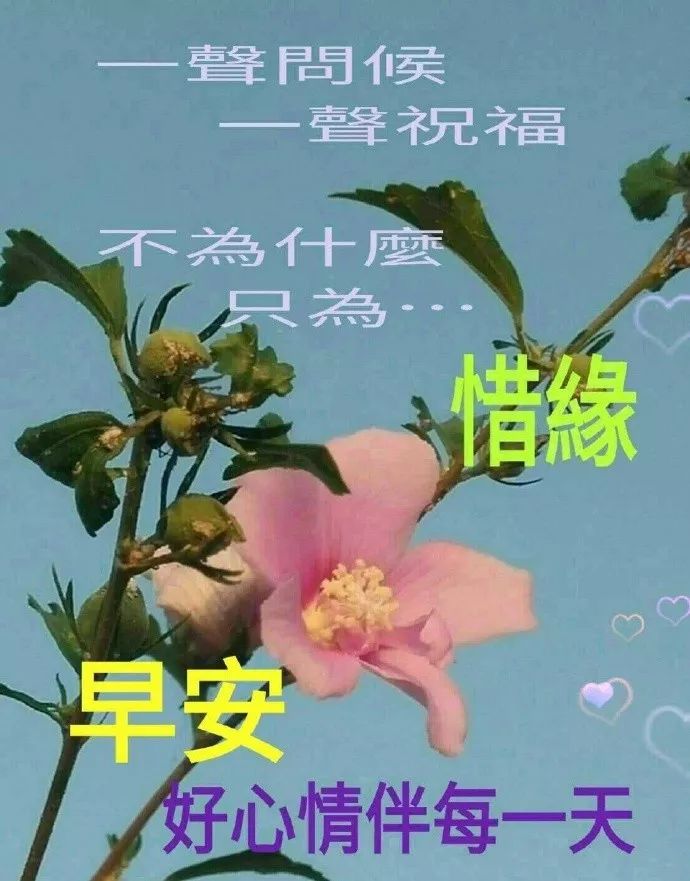 最新早安问候祝福动态表情图片,特别漂亮早上好问候