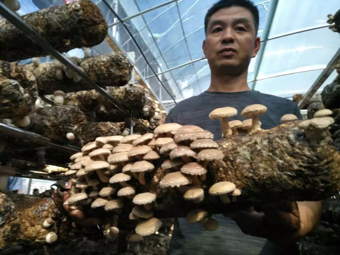 嵩县人口有多少_嵩县白云山(2)