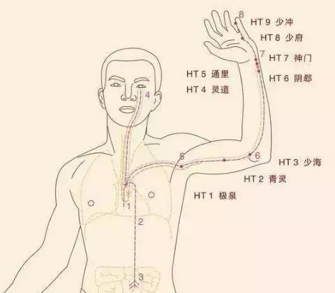 腹为阴,背为阳!按摩这4个地方,调节体内阴阳平衡