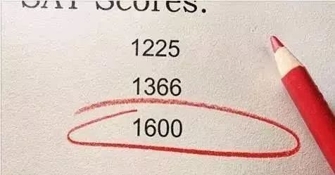 919fd793de544af8916c09ee119c2406.jpeg