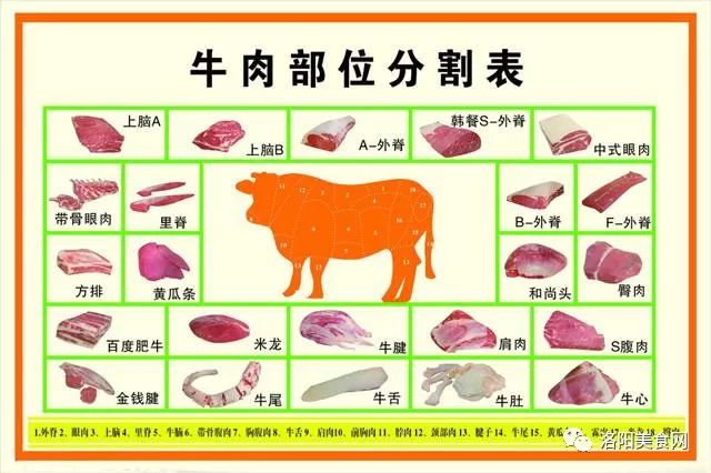 今天,就和大家介绍一下牛肉各部位的特点以及常用的烹饪手法,以供大家