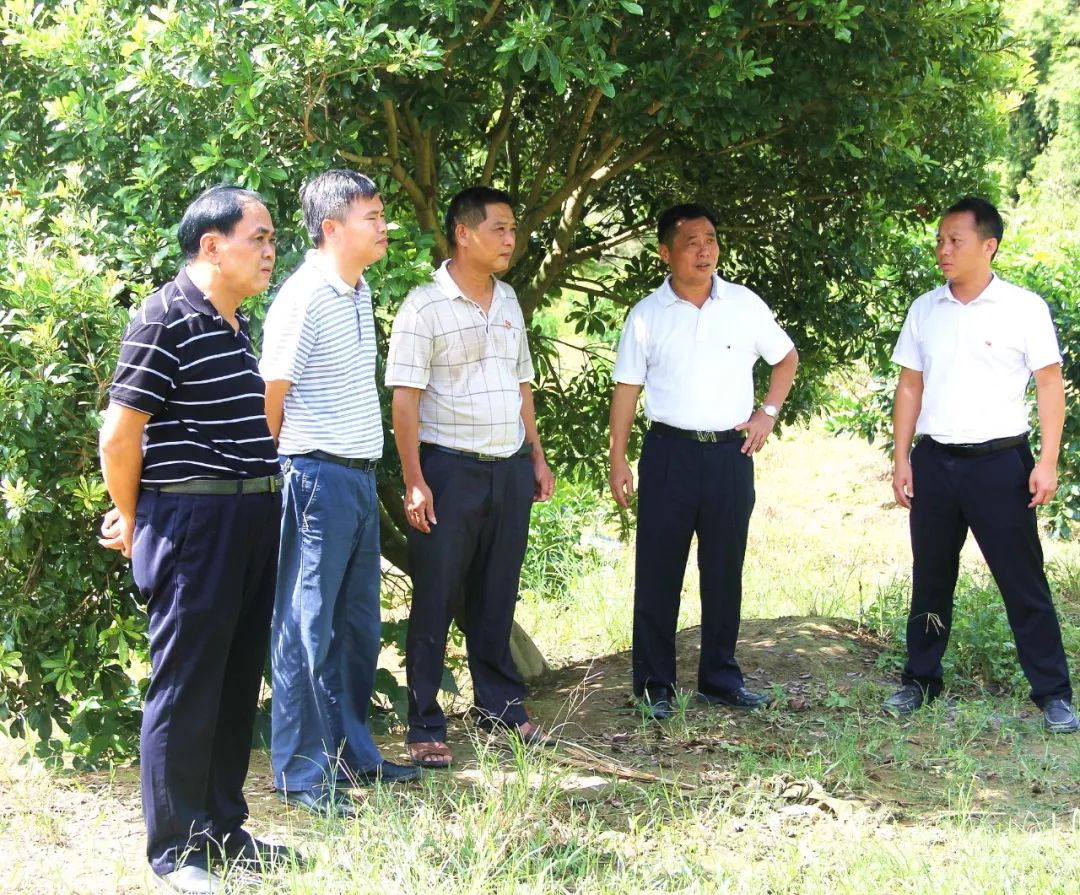 紫阆村人口_农林大暨阳学院:“文艺直通车”开进诸暨紫阆村(2)