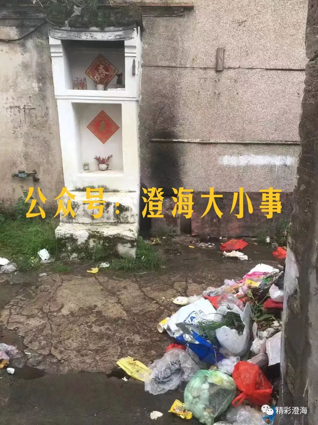 澄海西门人口_西门塔尔牛(2)