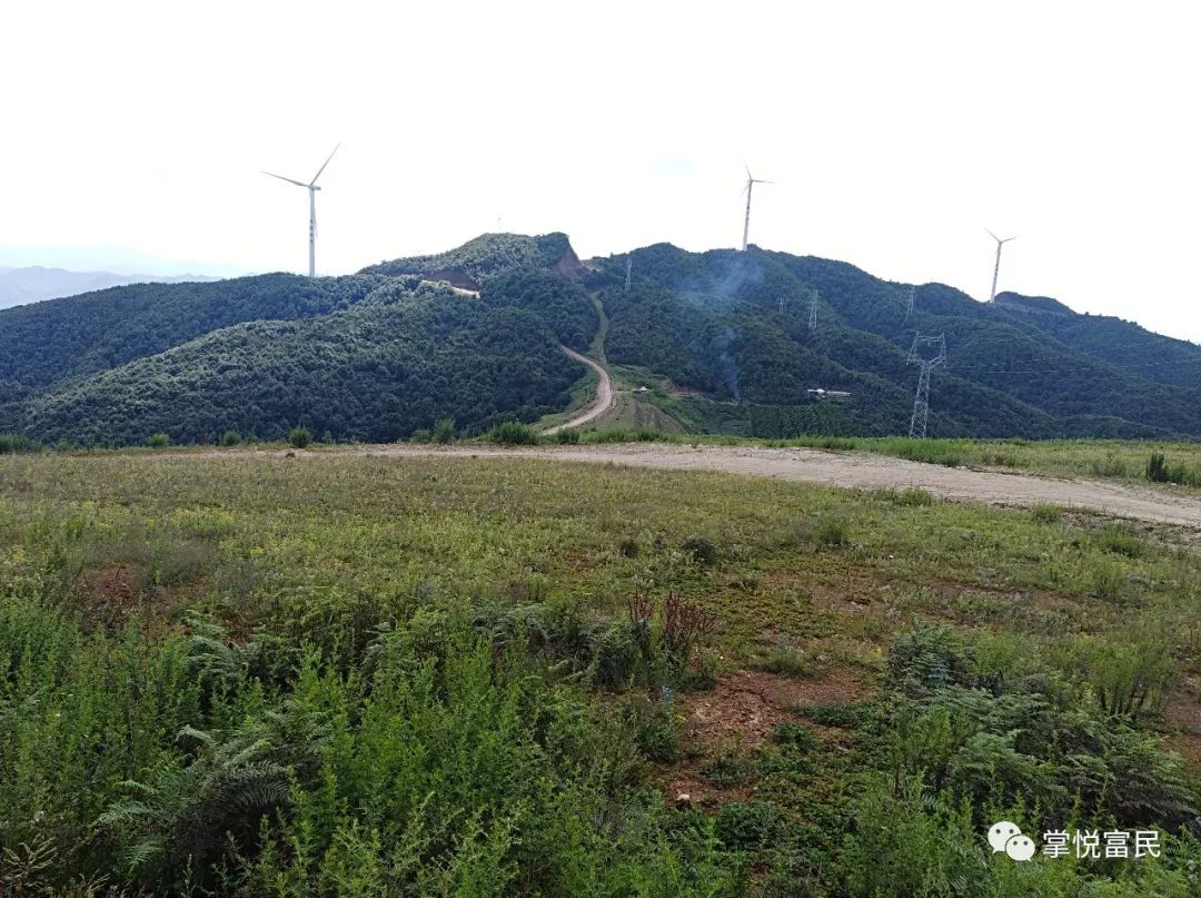 诏安县美营村有多少人口_诏安县深桥镇径尾村