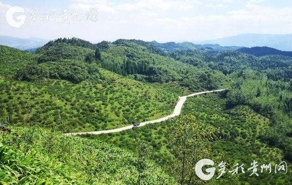 玉屏县,贞丰县,长顺县,仁怀市"五个县(市)作为第三批"四好农村路"全国