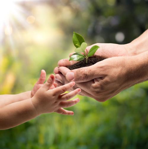                     原创            宝宝光脚好处多，儿科医生告诉你为什么，才懂！