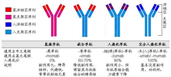 老鼠模拟人口实验_老鼠实验图片(3)