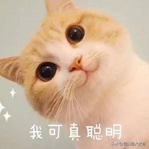 英语48个国际音标发音教学(附图解+视频),资料