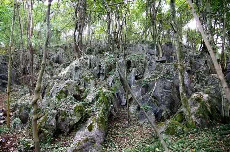 崇义县有多少人口_第四届中国 崇义阳明山万人徒步大会将于11月21号举行