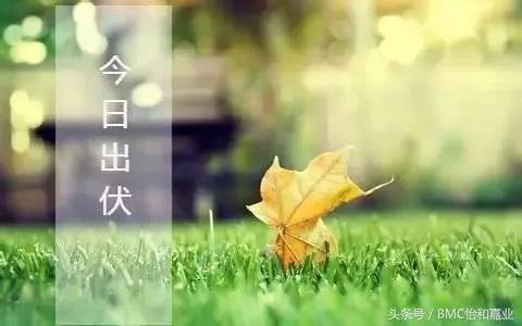 宁波出伏了!接下来要当心它…双台风胚胎正在酝酿,新台风或将生成!